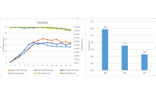 巖藻糖敲除宿主細(xì)胞株（CHO-K1-TGZ）在抗體藥物生產(chǎn)的應(yīng)用